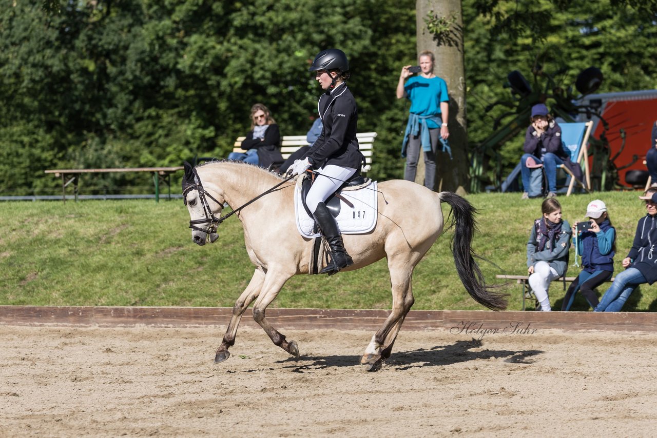 Bild 545 - Pony Akademie Turnier